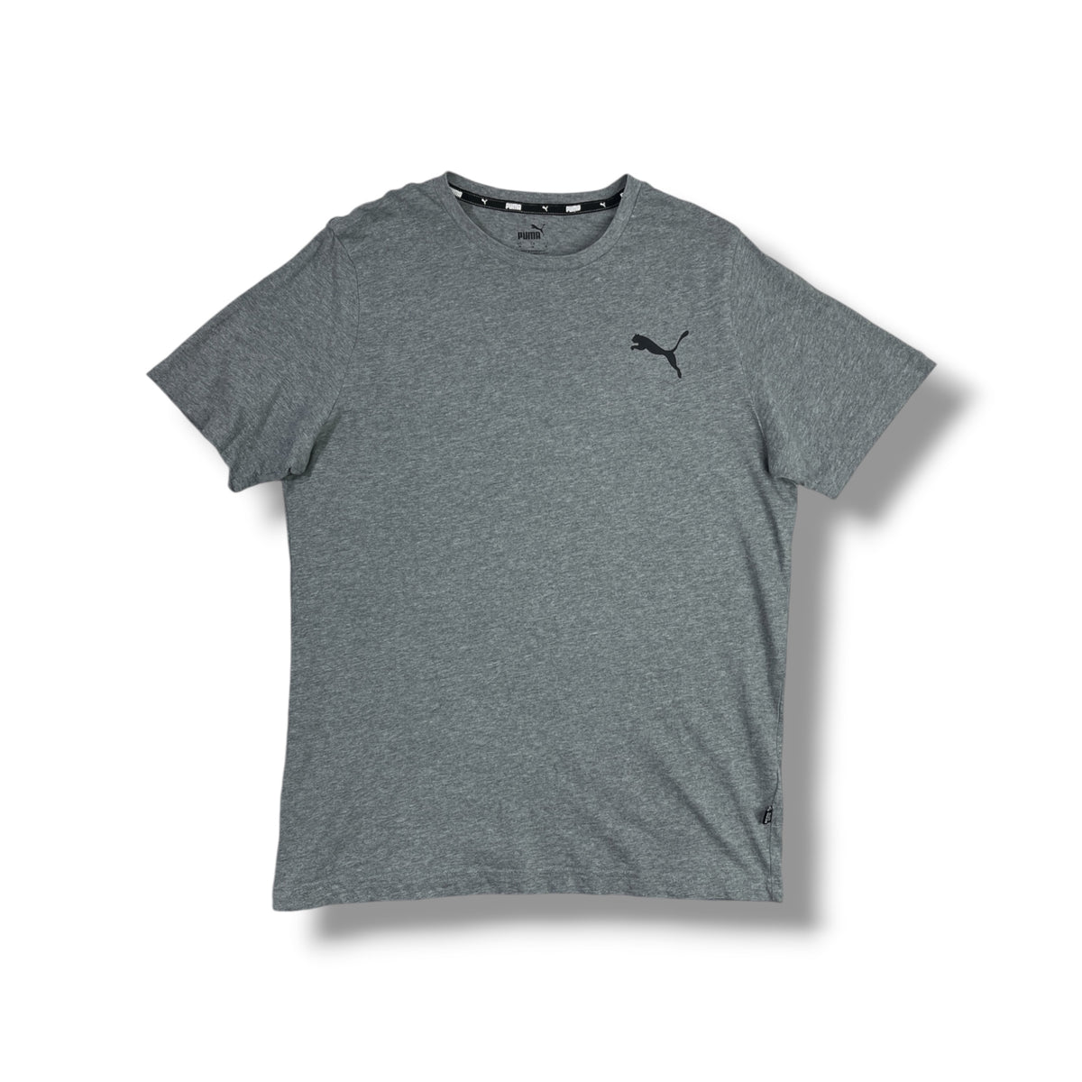Foto real frontal Puma gris jaspeado