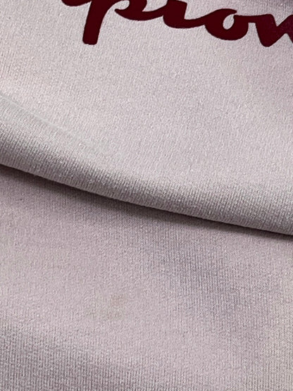 POLERÓN CHAMPION ROSADO · TALLA M